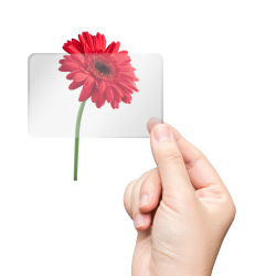 Papel Transparente 150gr X10 Hojas A4 Comprasclick